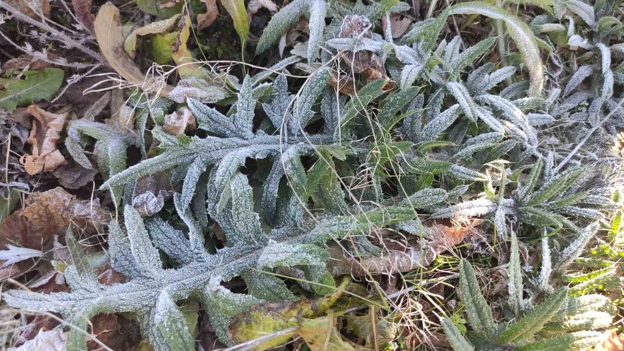 Göle ilçesi Türkiye’nin en soğuk yerleşim yeri oldu