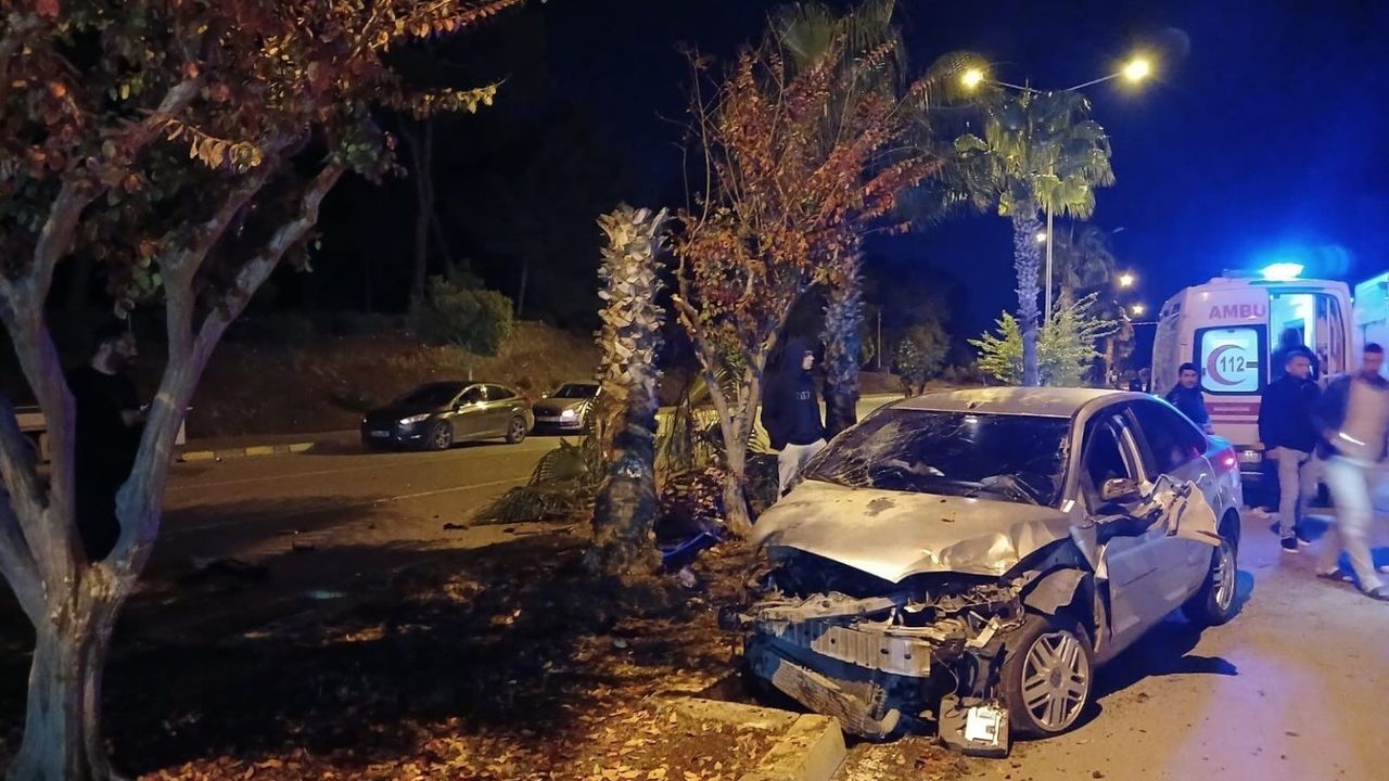 Antalya’da palmiyeye çarpan otomobilin sürücüsü yaralandı