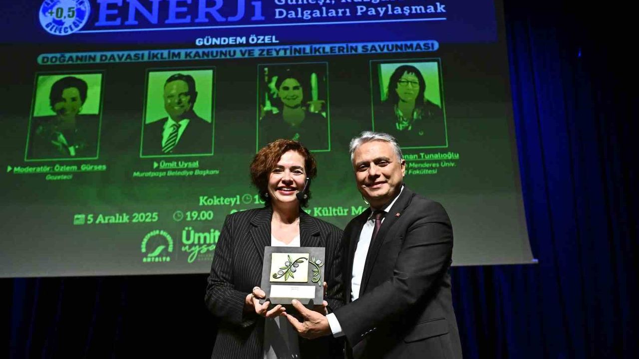 Doğanın Davası: İklim Kanunu ve Zeytinliklerin Savunması