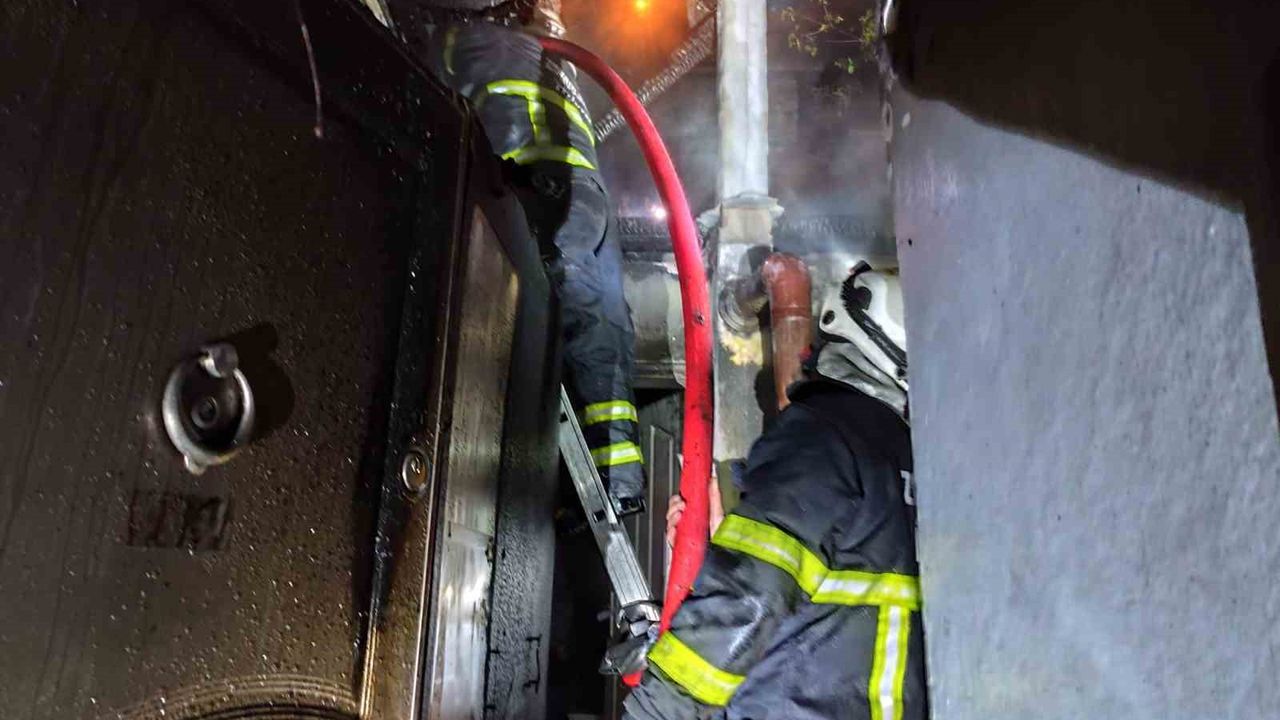 Çatı Yangını Korkuttu: Papağan Kurtarıldı