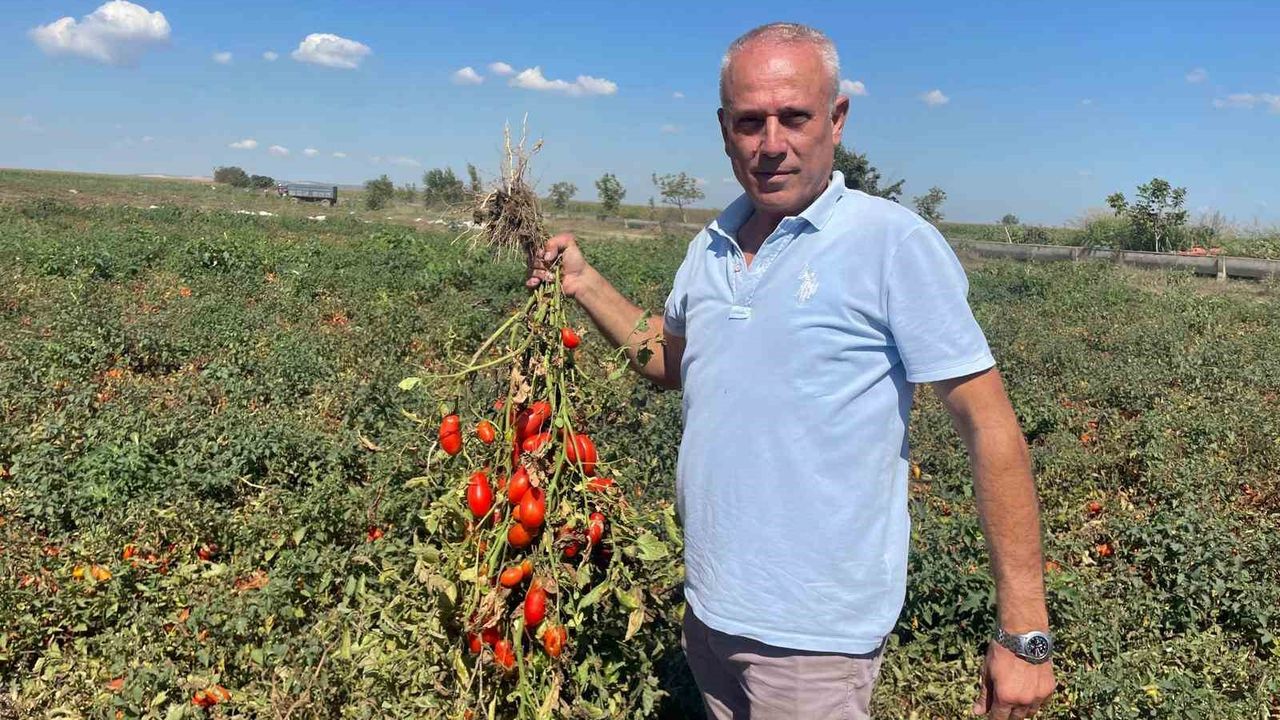 Dedesi seçimde muhtar oldu adına Seçim konuldu