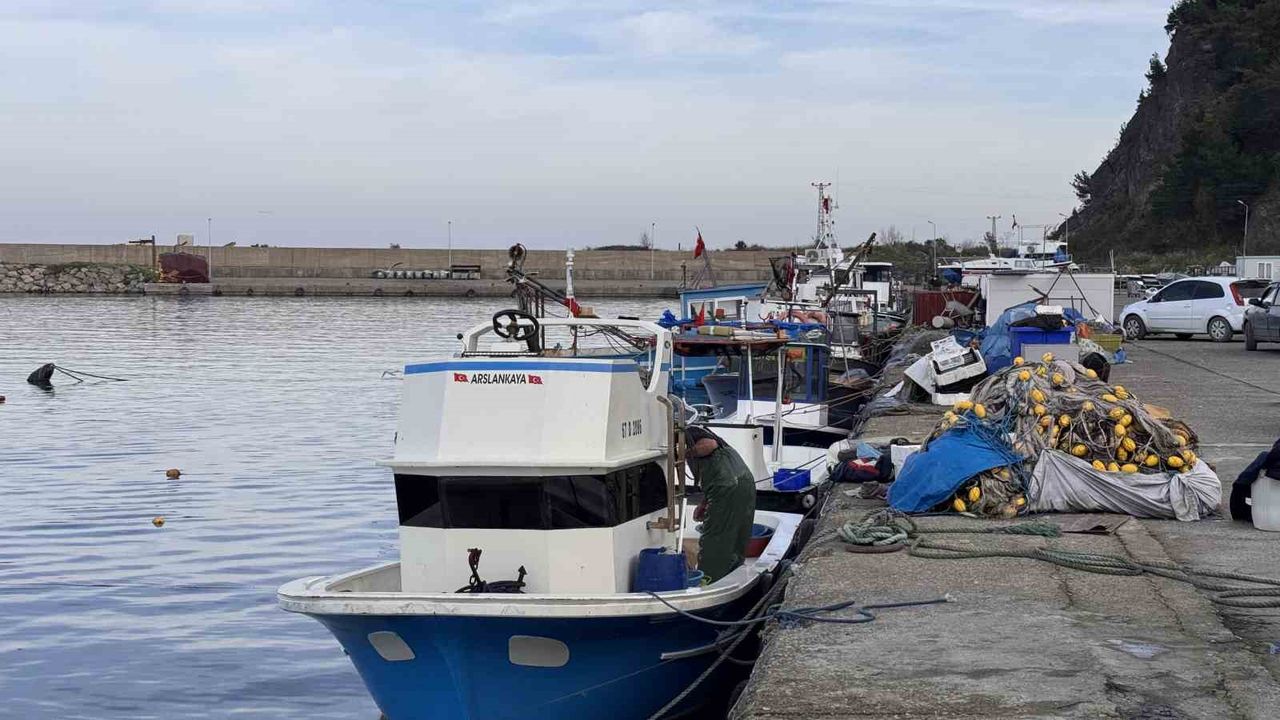 Hamsi yoğunluğu yaşandı, palamut çıkmadı