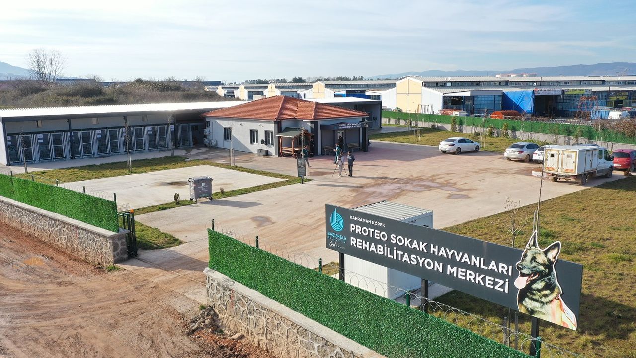 Başiskele’de Proteo Sokak Hayvanları Rehabilitasyon Merkezi Büyüyor