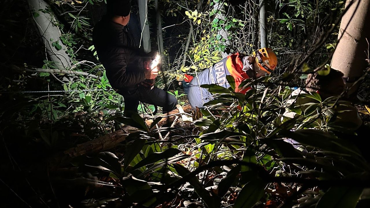 Sakarya Arifiye’de ormanlık alanda düşen işçi ekiplerce kurtarıldı