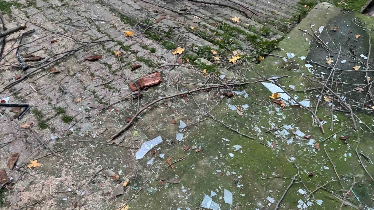 Beyoğlu’nda Şiddetli Rüzgar Ağacı Devirdi: Bina ve Su Hattı Zarar Gördü