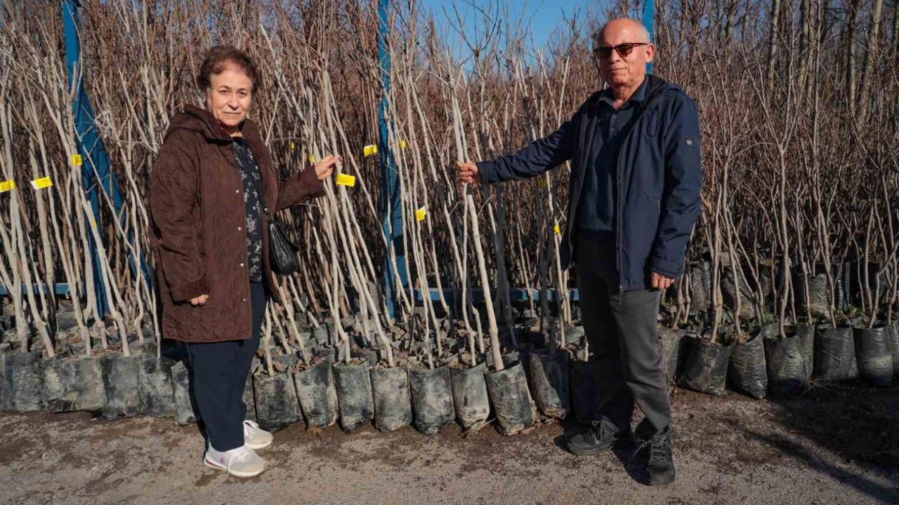 Çiftçiye dev destek ! 75 üreticiye 3 bin 600 fidan