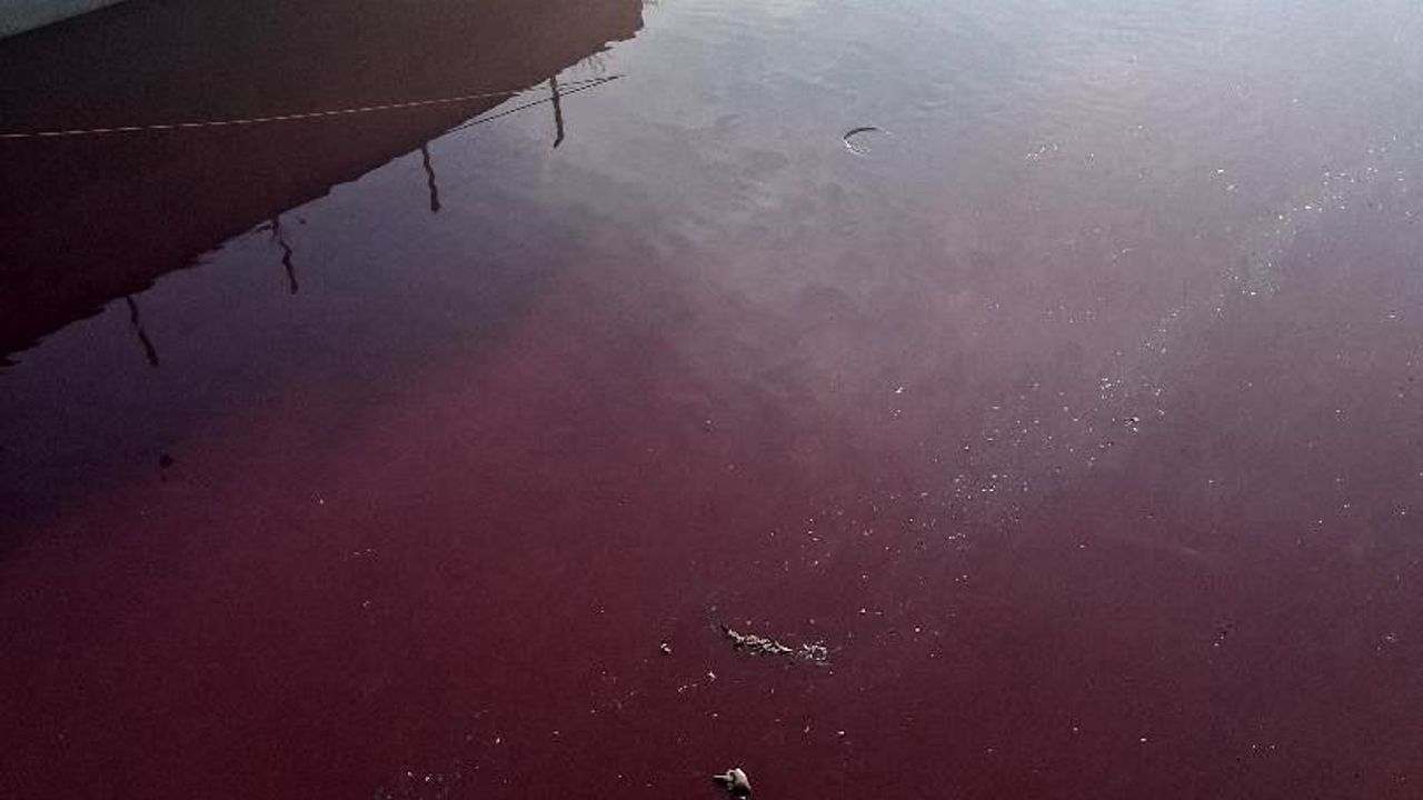 Esenyurt'ta derenin rengi kırmızıya döndü