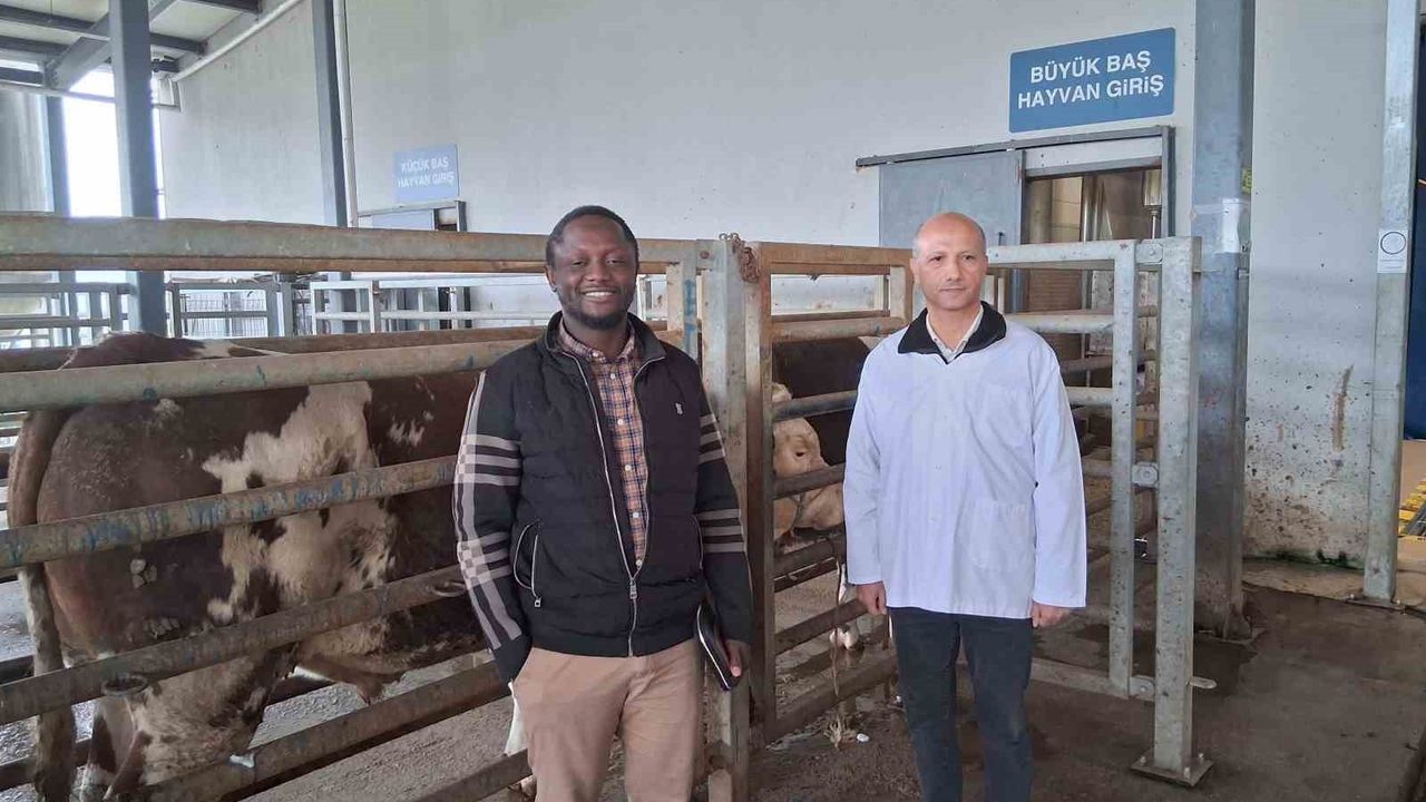 Kocaeli'deki mezbaha tesisi İslam ülkelerine örnek gösterildi