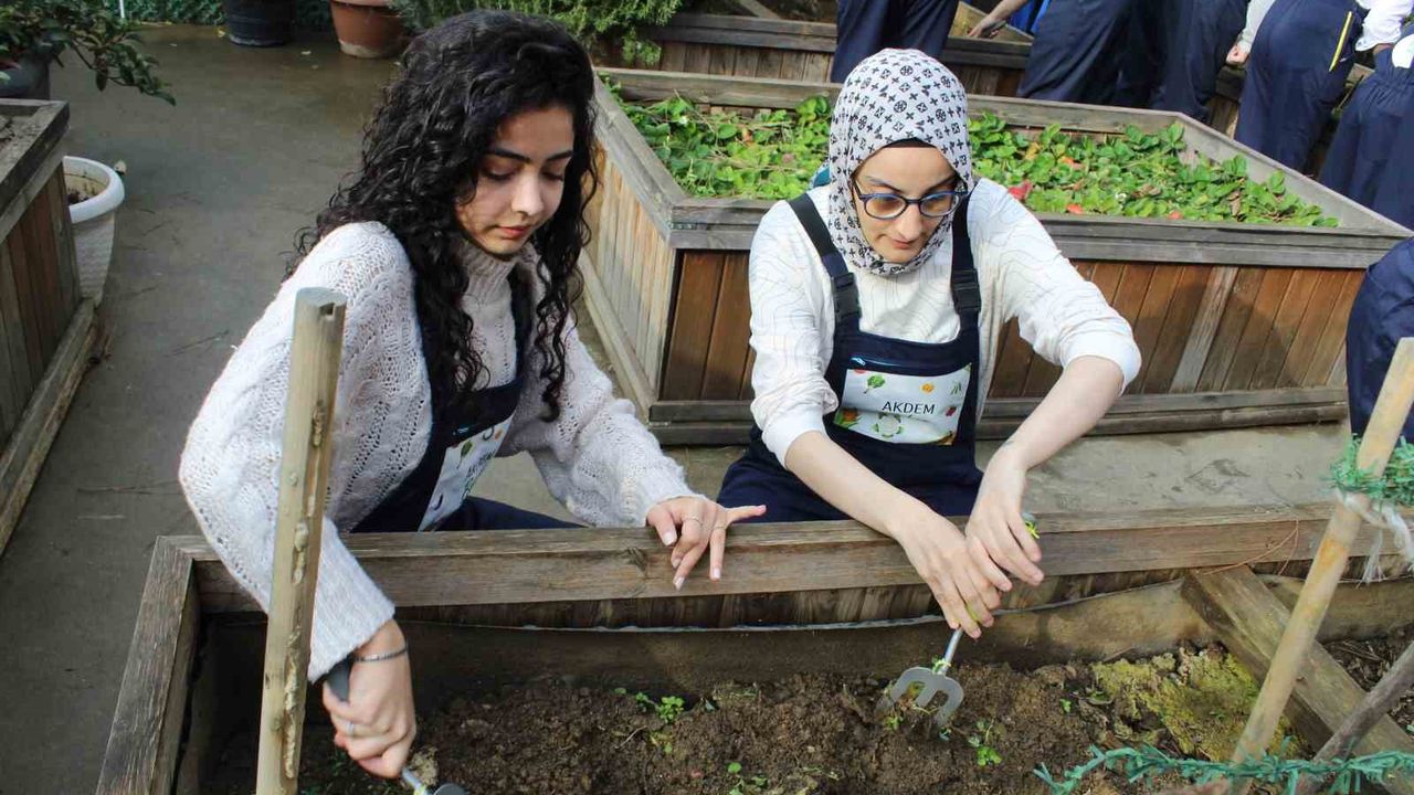 Zeytinburnu'nda ergoterapi öğrencileri engeli olan bireylerle birlikte fide ekti