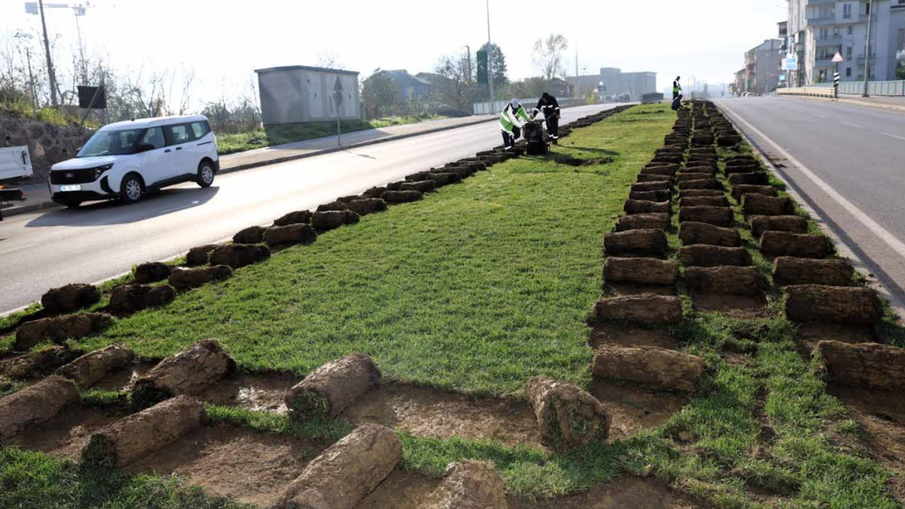 Kartepe Tramvay Hattı çalışmasında sökülen ağaçlar fidanlıkta koruma altına alındı
