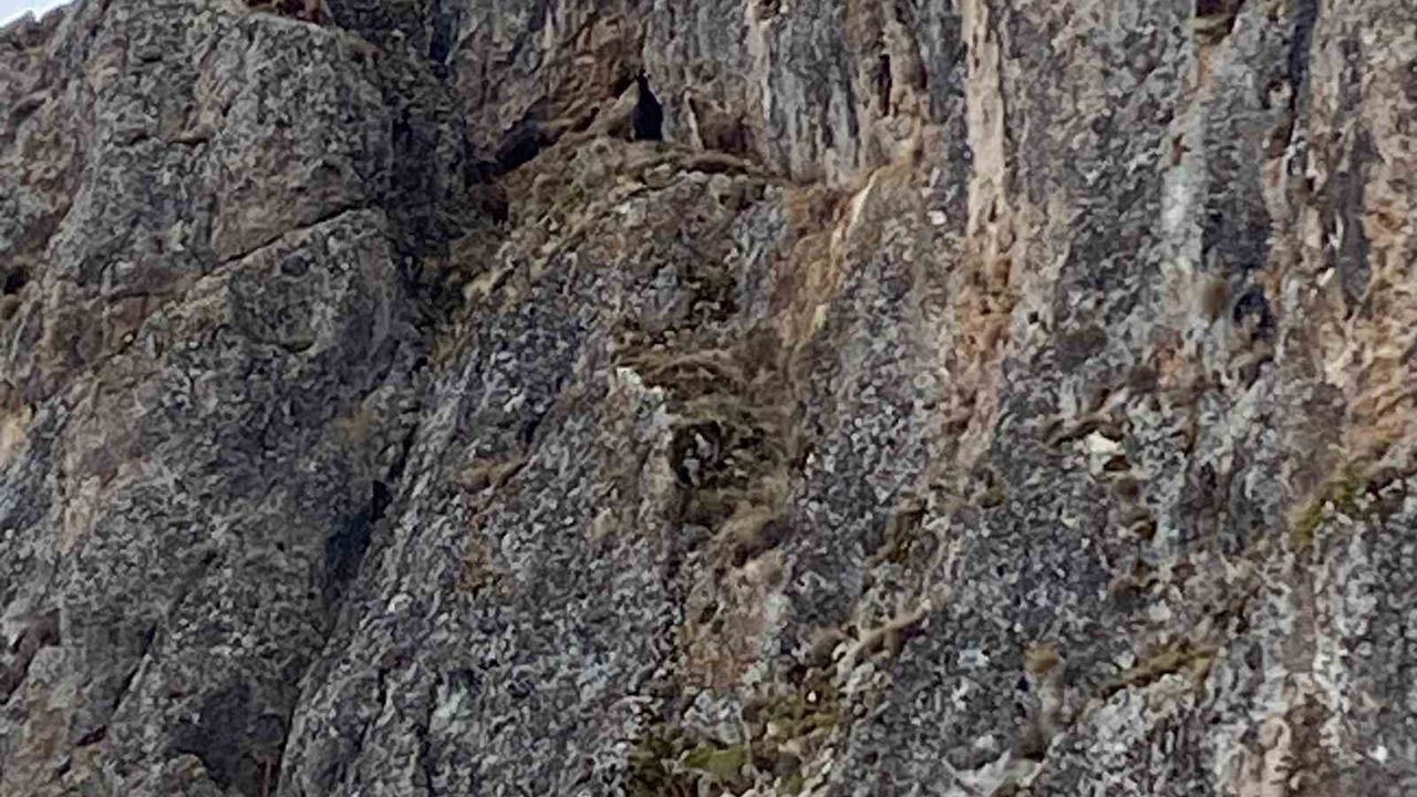 Erzincan’da Sarp Kayalıkta Mahsur Kalan 10 Keçi İçin Kurtarma Seferberliği