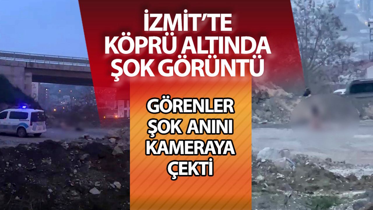İzmit Elzem Sokak’ta Elzem Görüntü: Görenler Şok Oldu