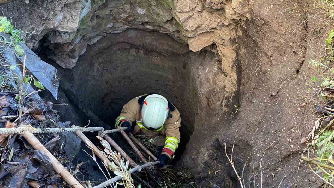 Su kuyusuna düşen köpek için seferber oldular: İtfaiyeden başarılı operasyon