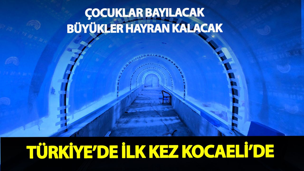 Türkiye’de eşi benzeri yok: Kocaeli’de sıra dışı akvaryum projesi sona yaklaştı