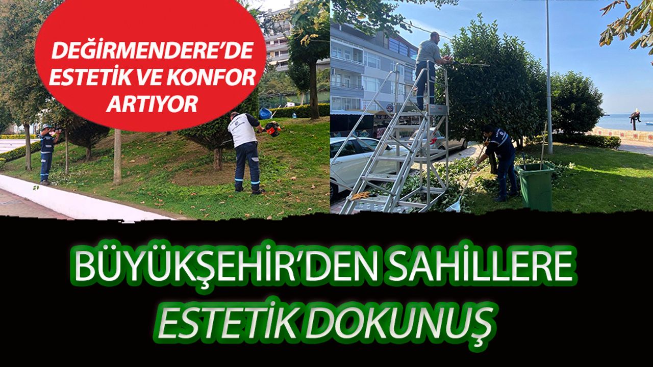Kış Ortasında Bahar Esintisi: Büyükşehir’den Değirmendere’ye Estetik Hamle