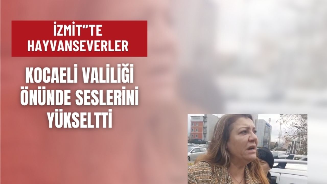 Hayvanseverler Kocaeli Valiliği Önünde Seslerini Yükseltti