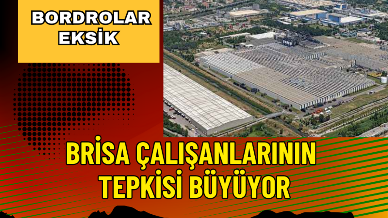 Böcekler Bitmiyor, Bordrolar Eksik: Brisa Çalışanlarının Tepkisi Büyüyor