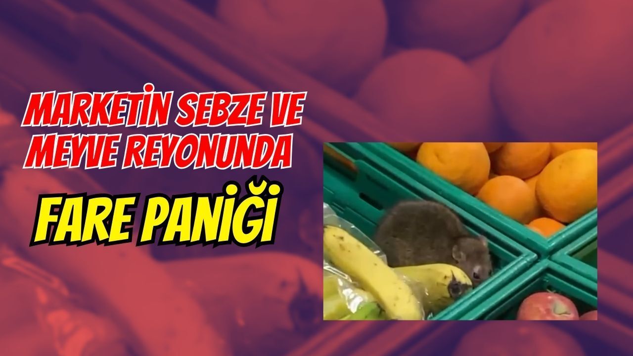 Marketin Sebze ve Meyve Reyonunda Fare Paniği