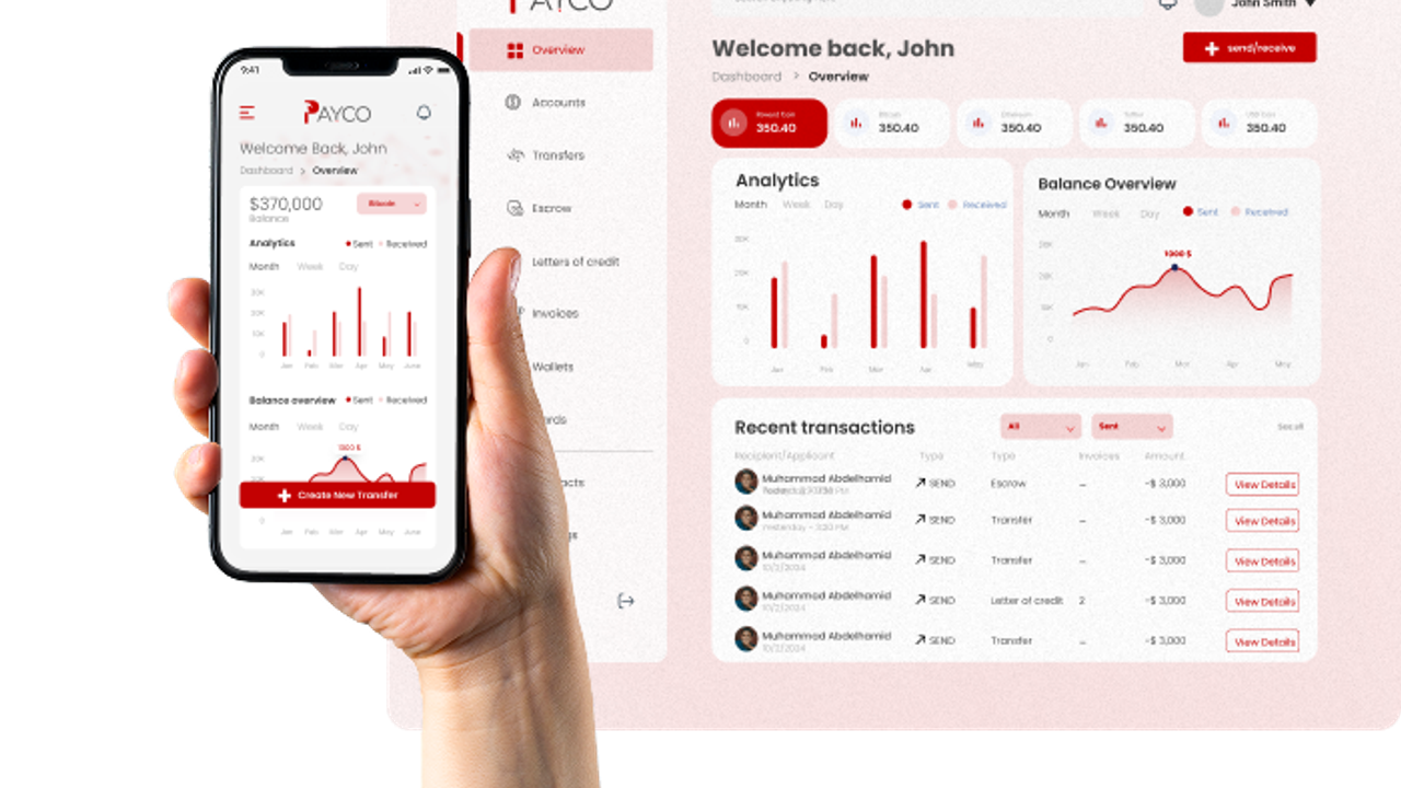 Suç gelirleri Payco üzerinden aklanmış! Merkez Bankası raporu sonrası harekete geçildi