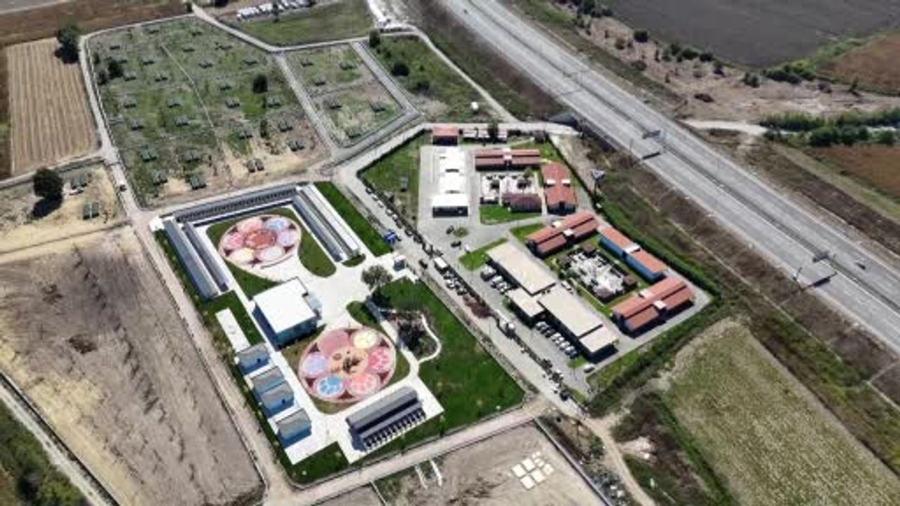 Sakarya’dan Türkiye’ye örnek adım: Sokak hayvanları kampüsü açıldı