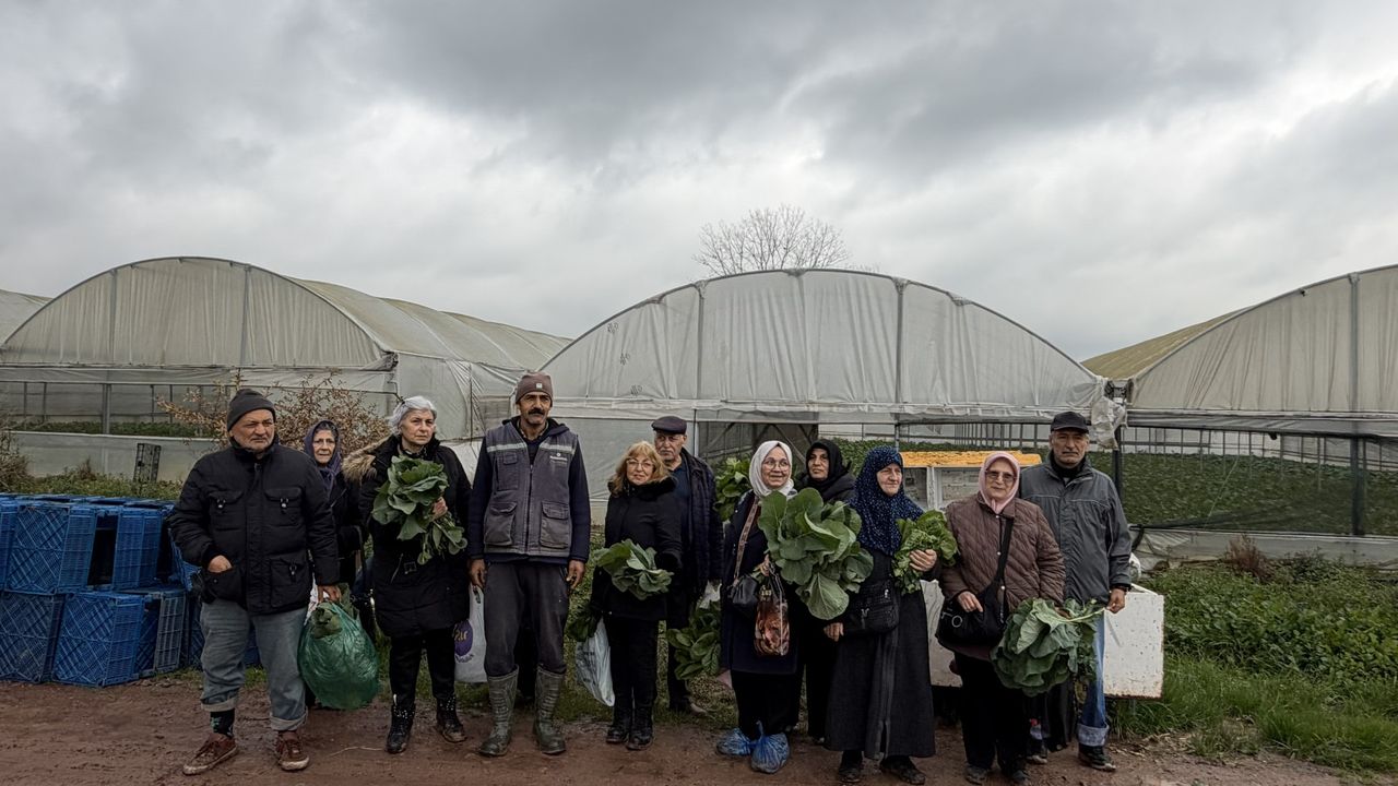 Kocaeli’de 65 yaş üstü üretime katıldı: Saygınlar Kulübü’nden örnek hasat etkinliği