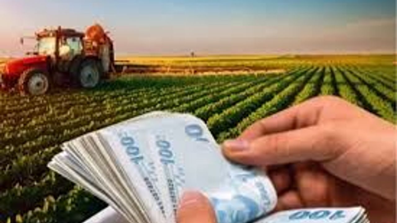 Tarımda fiyat dengesi değişti: Üretici endeksi aylık geriledi, yıllık artış yüzde 31’i aştı