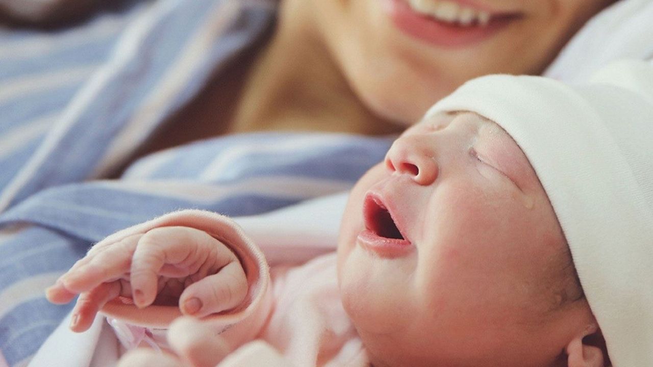 Her 6 girişimden biri yeni: TÜİK, 2024 girişim doğum oranlarını açıkladı