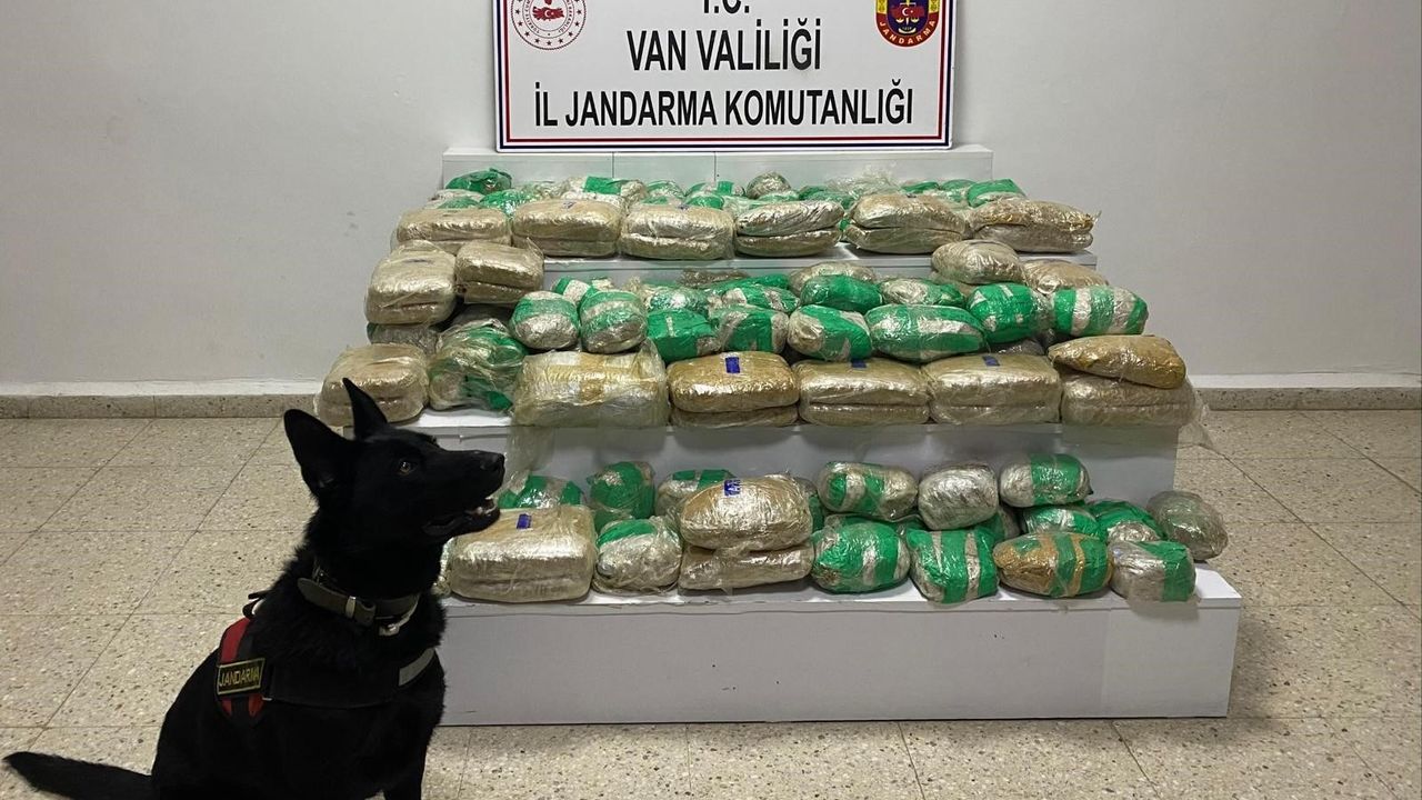 Van Başkale’de jandarmadan uyuşturucu operasyonu: 51 kilo skunk ele geçirildi