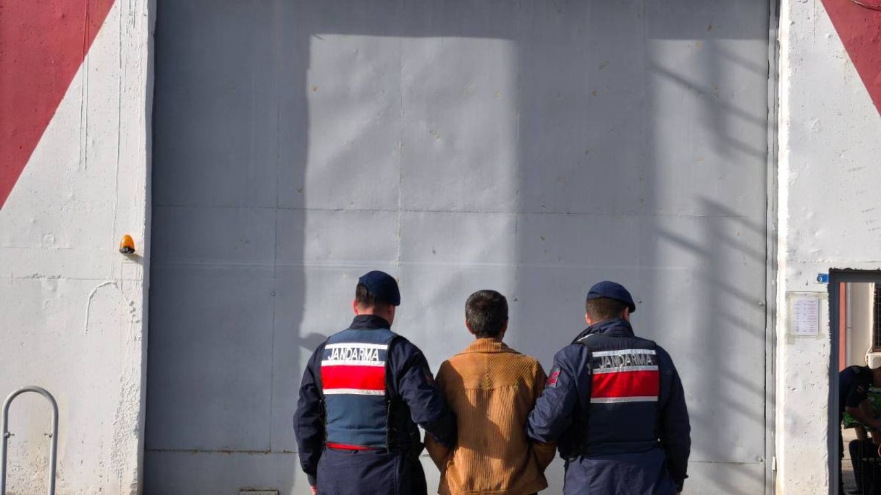 Kocaeli’de “Yasadışı Kenevir Ekimi” Suçundan Aranan Şahıs Yakalandı