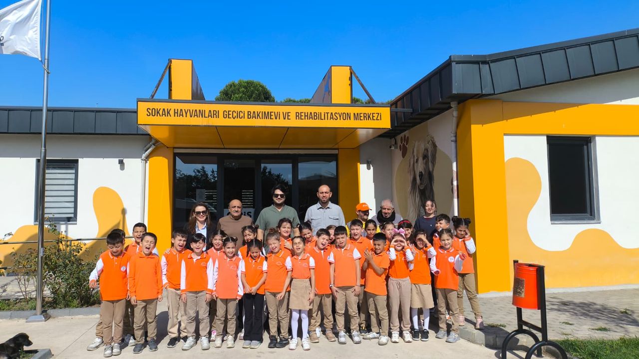 Çayırova Sokak Hayvanları Bakım Merkezi: 7 Binden Fazla Can Tedavi Edildi