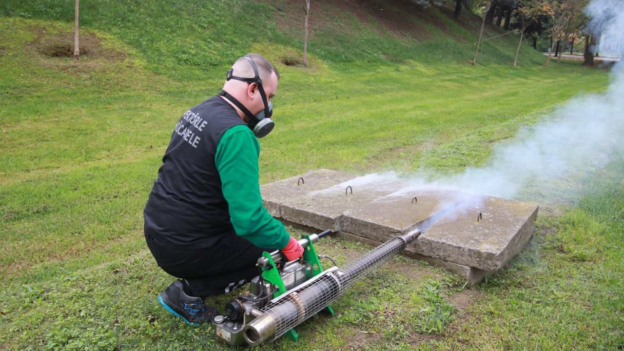 Kocaeli’de Sivrisinekle Mücadelede Büyük Başarı: 24 Milyon m² Alan Kontrol Altına Alındı