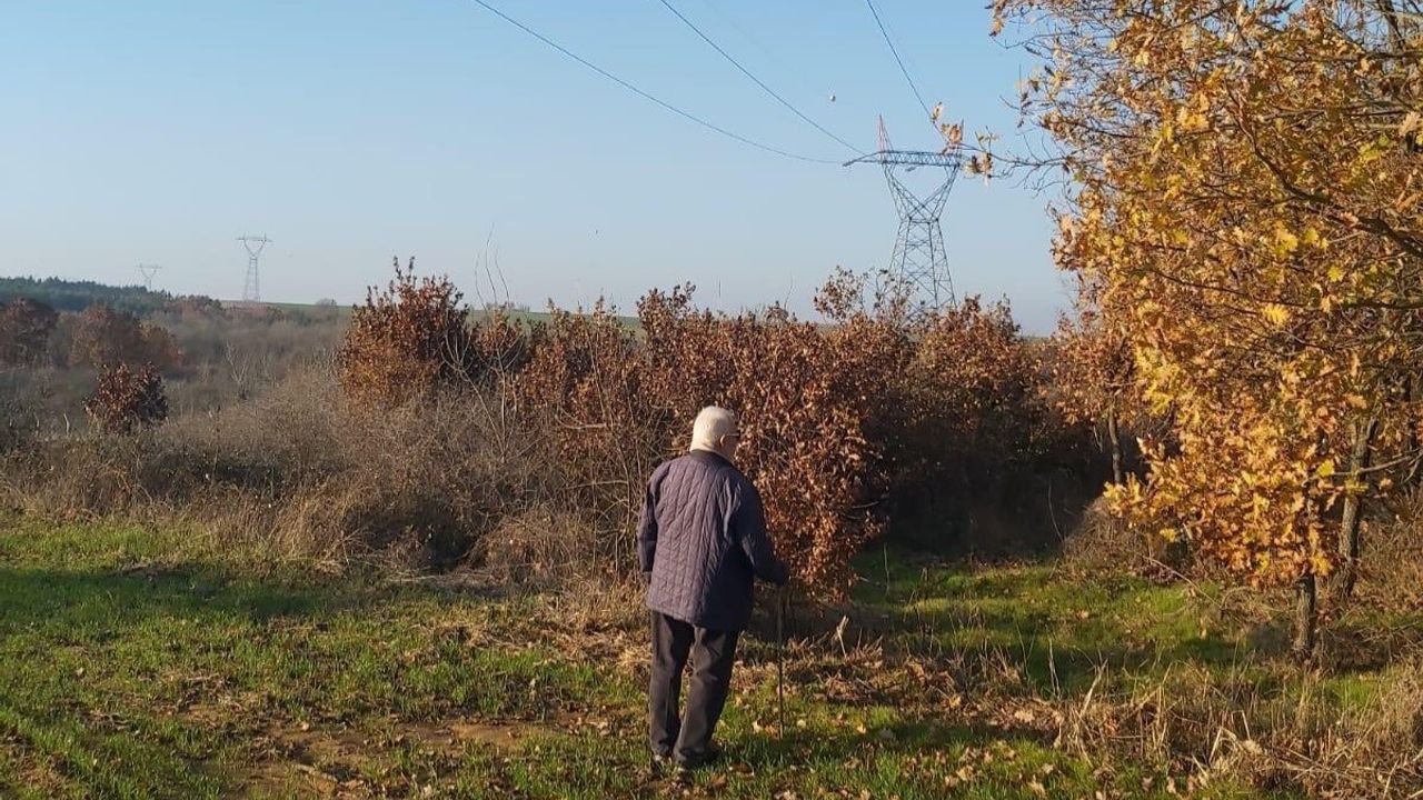 Yargıtay’dan Kamulaştırmada Emsal Niteliğinde Karar