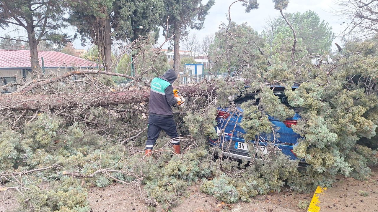 Başiskele’de Fırtına Alarmı: Belediye Ekipleri Anında Müdahale Etti
