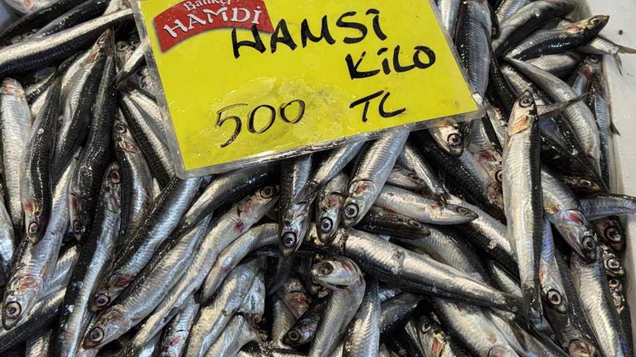 Denizler Boş, Tezgahlar Durgun: Balık Fiyatları Artıyor