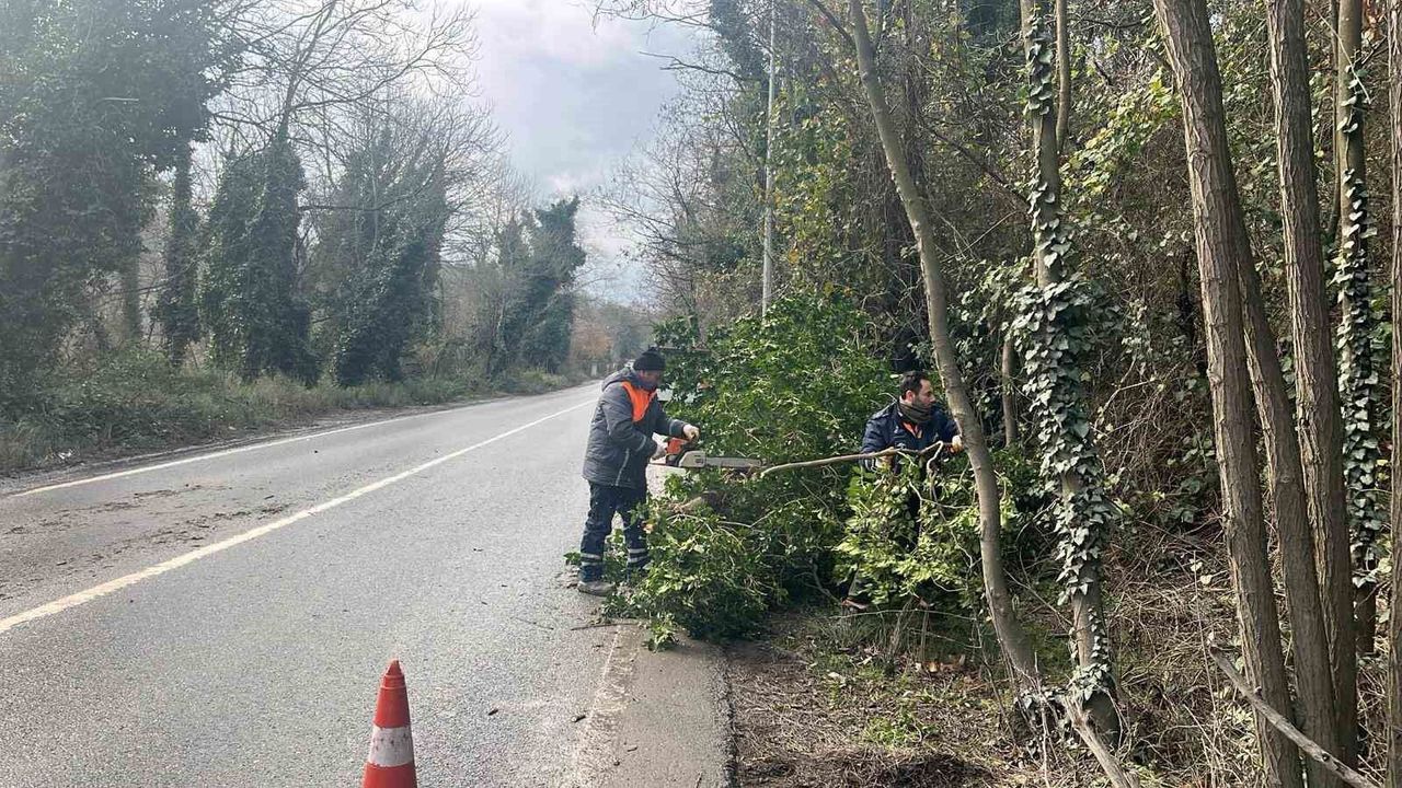 İstanbul’da fırtına alarmı: Ağaçlar devrildi, seferler iptal edildi