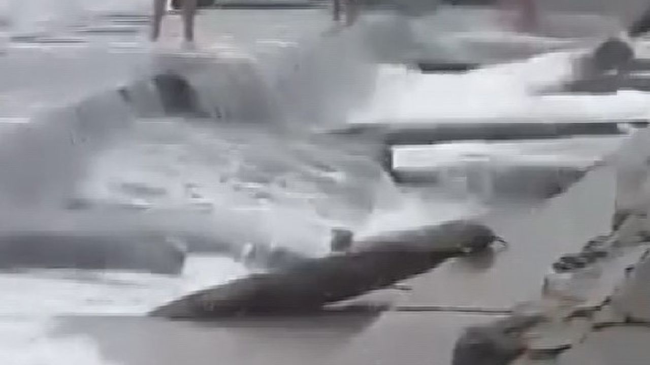 Kadıköy Caddebostan Sahili’nde 3 Kişi Lodosun Savurduğu Dalgalarla Yaralandı