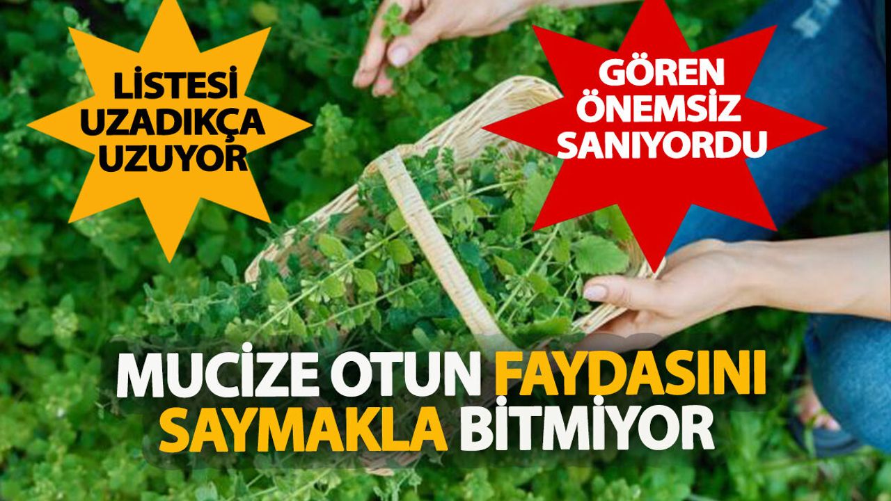 Kullanmayı Bilen Uyuyor Bilmeyen Kafayı Yiyor: Göz önünde Kimse Farkında Değil