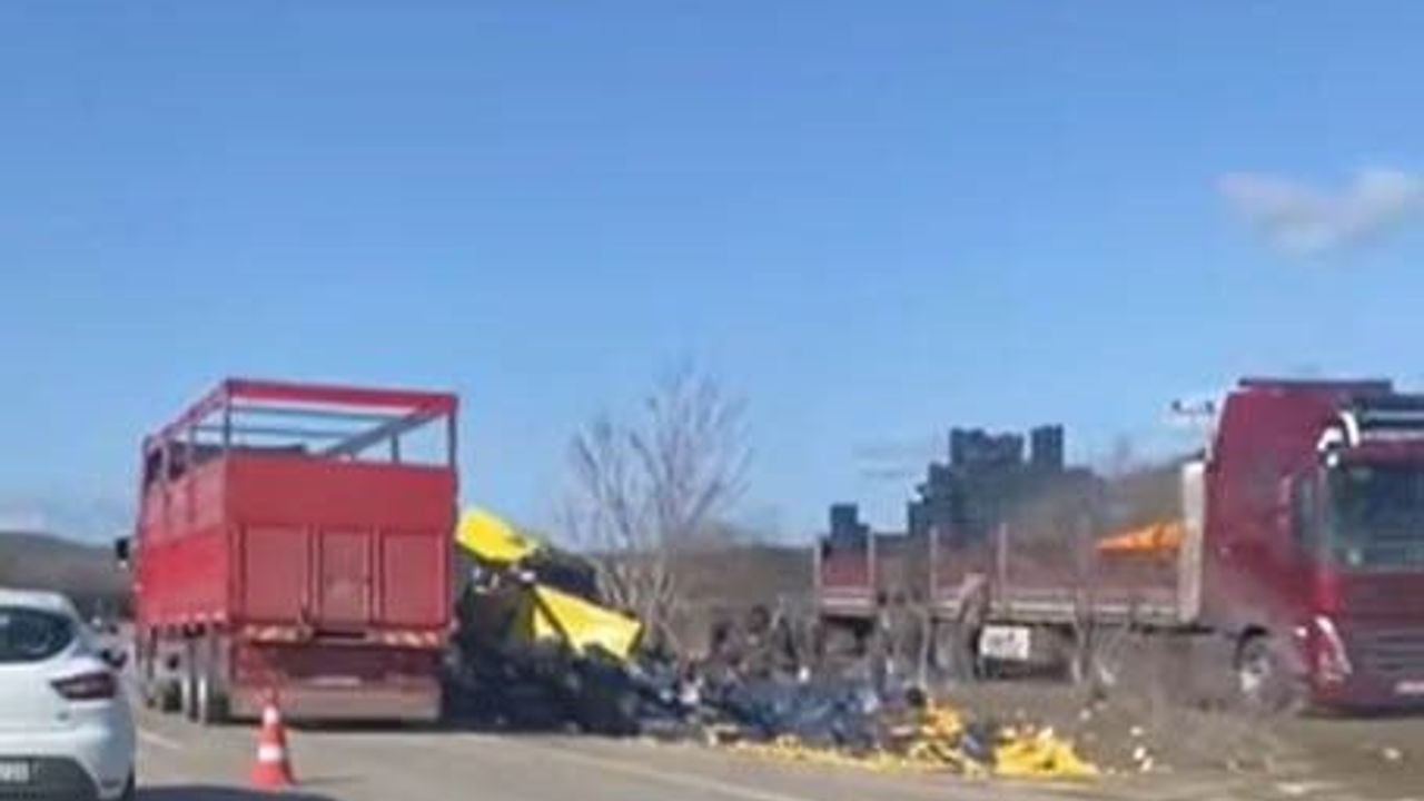 Burdur’da limon yüklü tır şarampole devrildi: Sürücü kazayı yara almadan atlattı