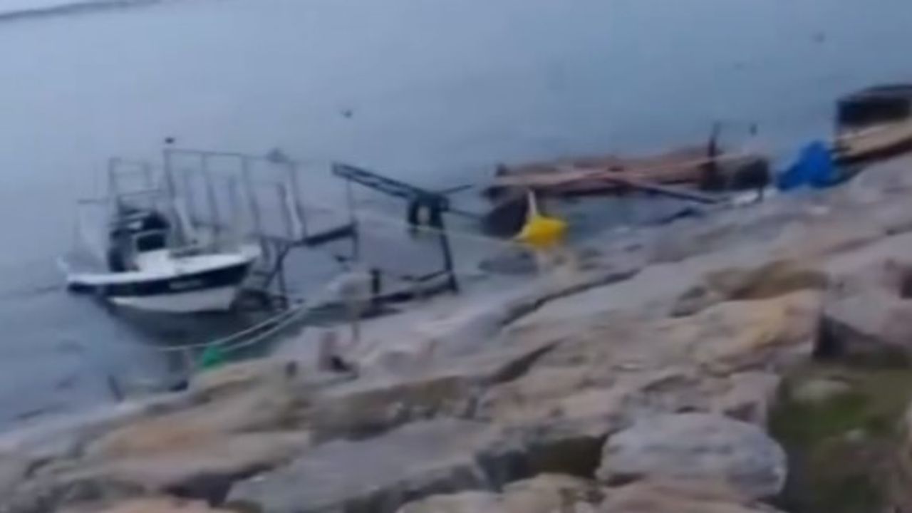 Darıca Sahilinde Gizemli Anlar: Denize Atladı mı, Düştü mü?