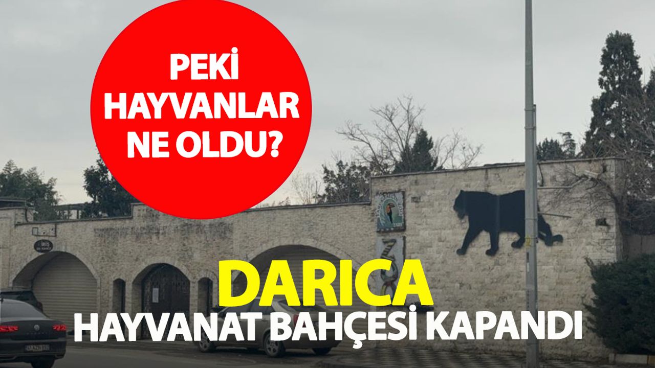 Kocaeli’de Yıllardır Ziyaret Edilen Darıca Hayvanat Bahçesi Kapandı: Hayvanlara Ne Oldu?