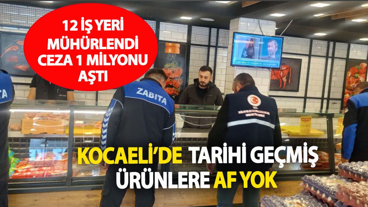 Dilovası'nda İş Yerleri Mühürlendi Milyonluk Ceza Kesildi: Raflarda Skandal Ürünler Çıktı