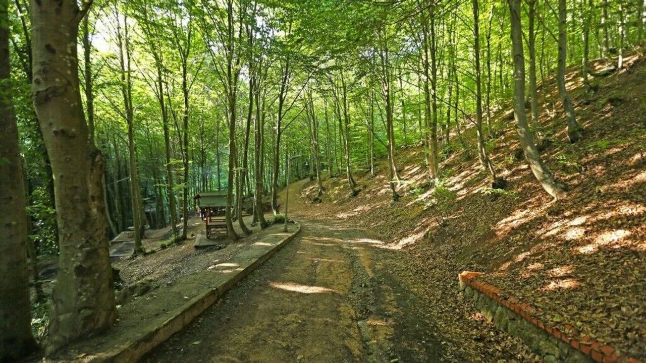 Kocaeli’de Dümbüldek Pınarı Mesire Alanı 15 Şubat’a Kadar Kapalı