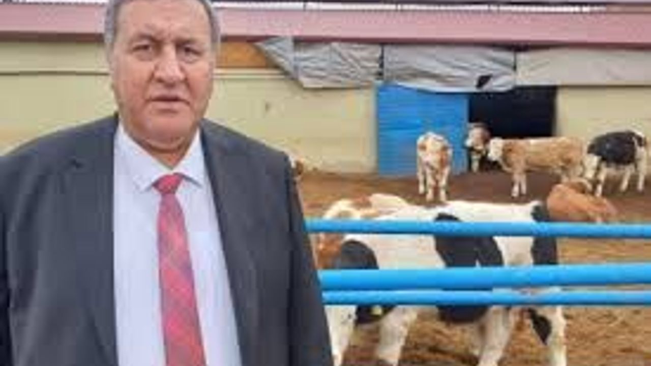 CHP’li Gürer: “İthalatla ne üretici kazandı ne tüketici, kaybeden Türkiye oldu”