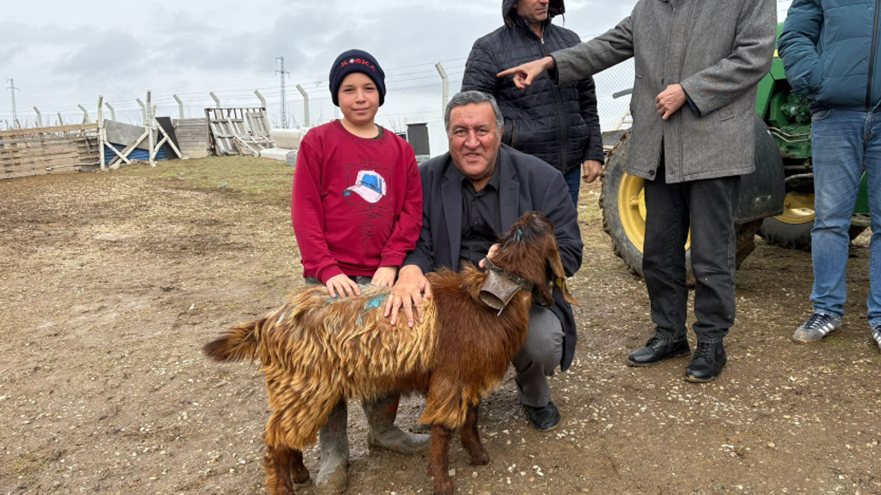 Gürer uyardı: Hayvancılık biterse et fiyatları daha da artacak