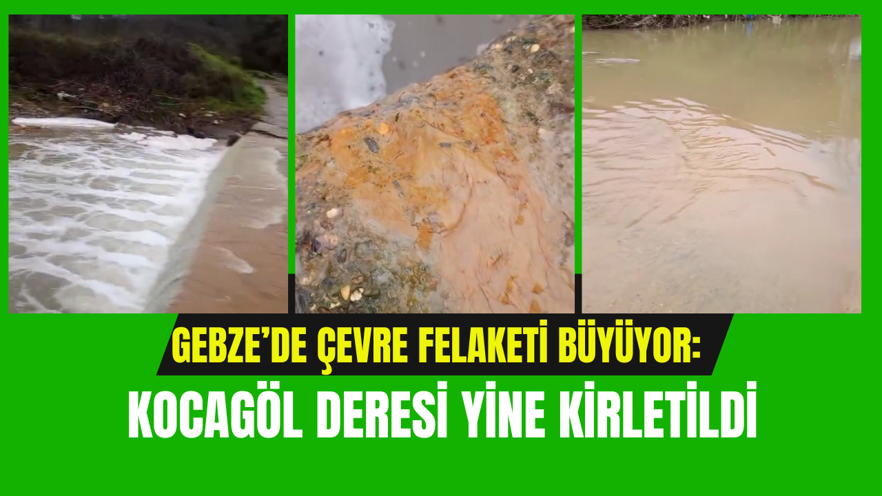 Gebze’de çevre felaketi büyüyor: Kocagöl Deresi yine kirletildi