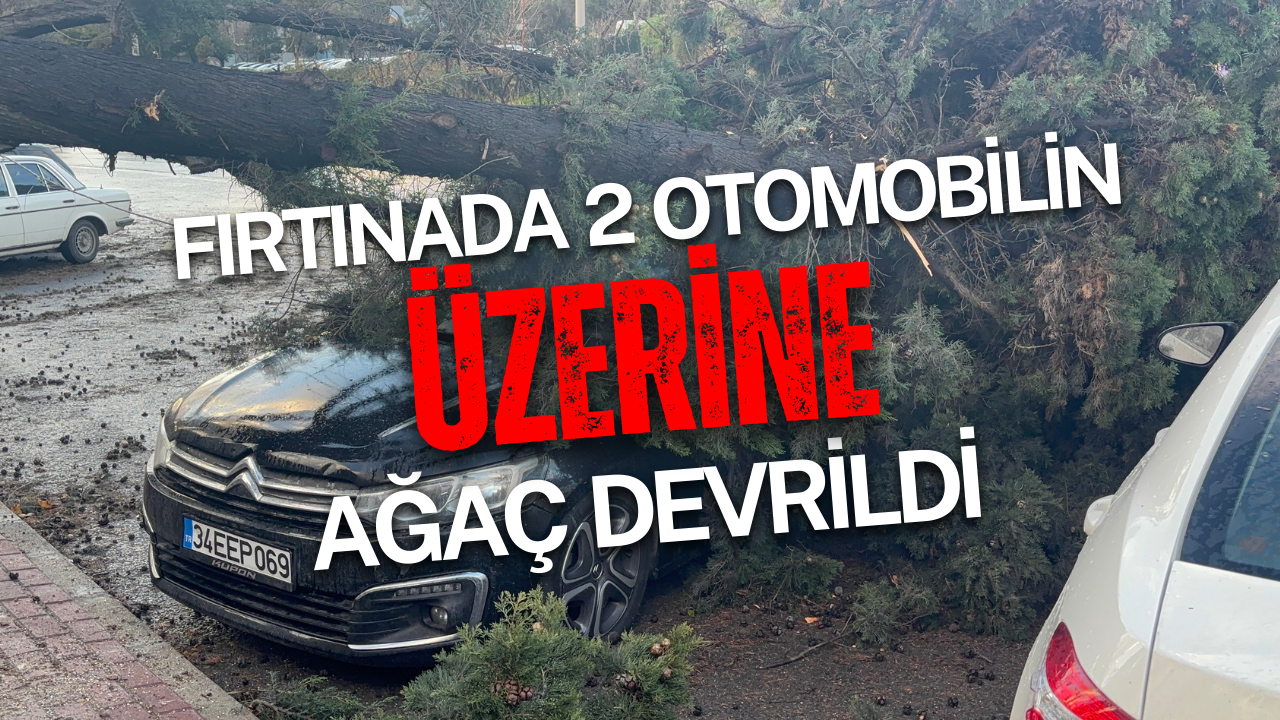 Gebze'de fırtınada iki otomobilin üzerine ağaç devrildi