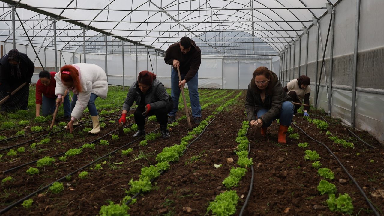 Kocaeli’de tarımda yeni dönem: Tarım Akademisi üretici yetiştiriyor