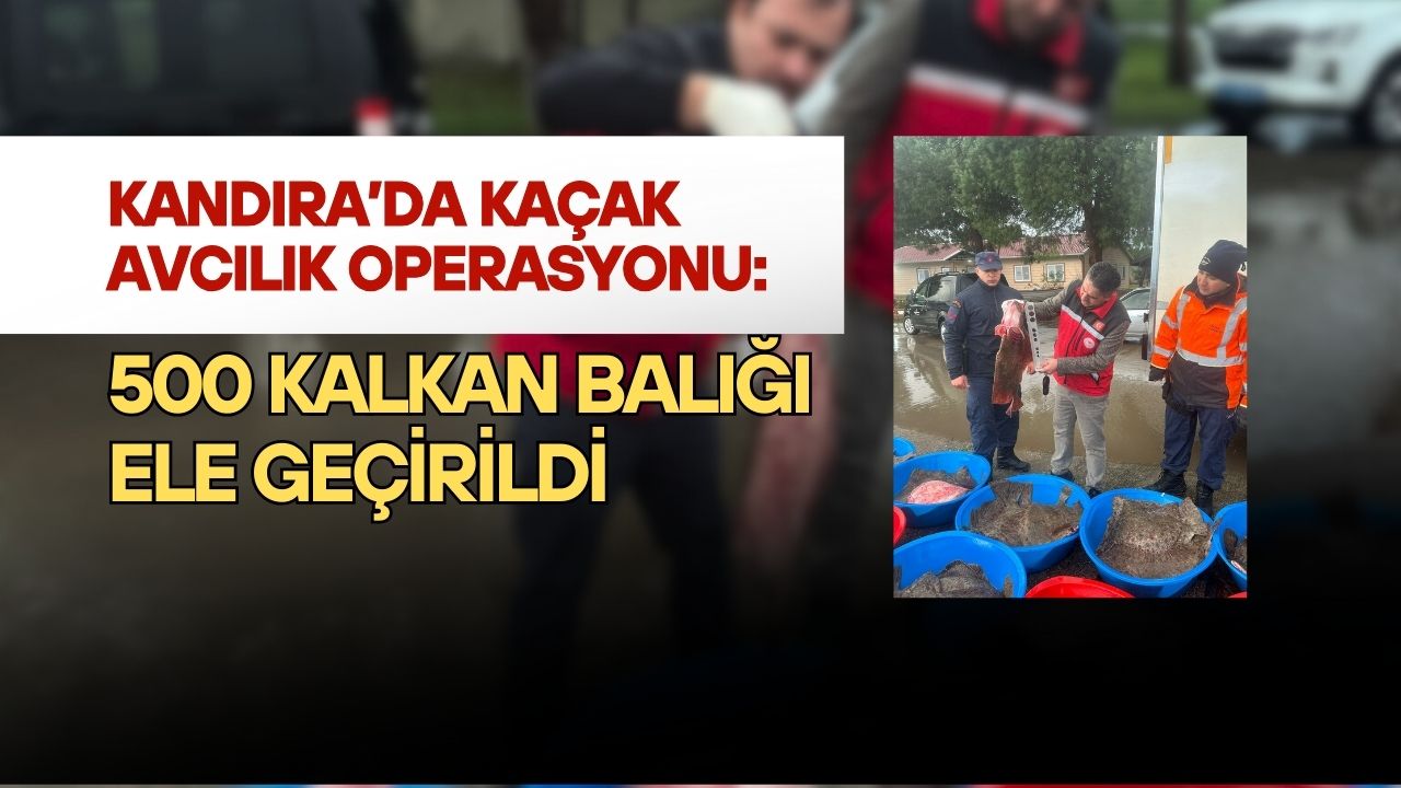 Kandıra’da Kaçak Avcılık Operasyonu: 500 Kalkan Balığı Ele Geçirildi