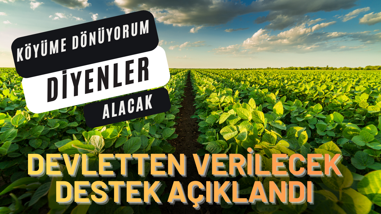 Köye dönmek isteyenlere verilecek yeni destek açıklandı!