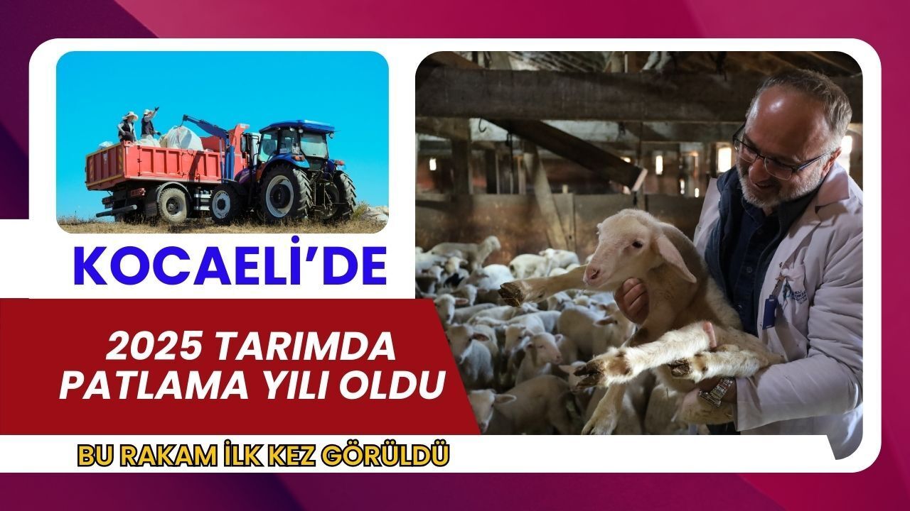 Kocaeli’de 2025 Tarımda Patlama Yılı Oldu: Üreticiye Rekor Destek